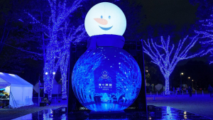 青の洞窟SHIBUYA イベント映像(スノーマン内映像) イメージ